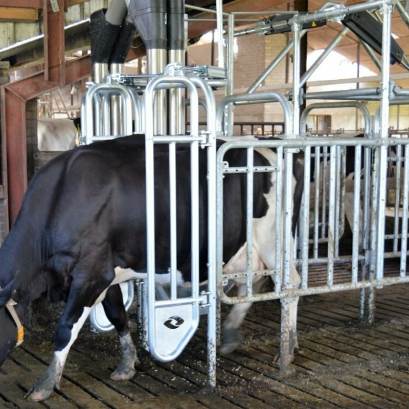 Feed Station Walk Through Medium
