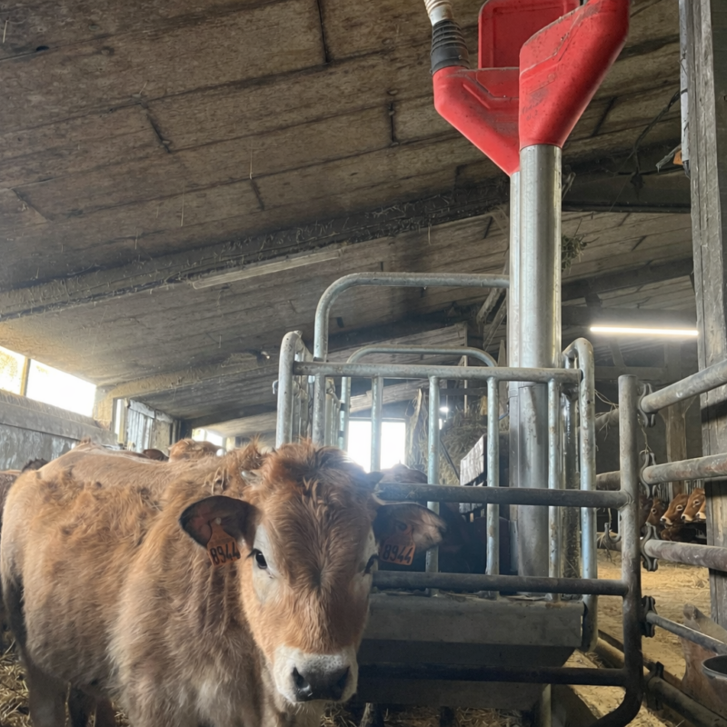 Gilles mallet dac sans palettes Gilles mallet dac sans palettes