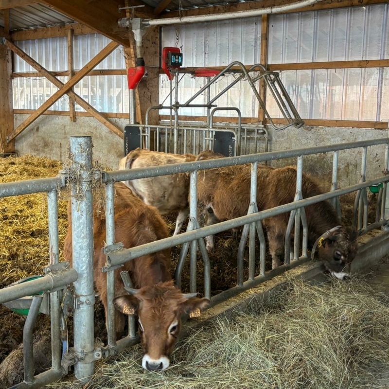 Whats App Image 2026 02 04 at 19 27 14 4