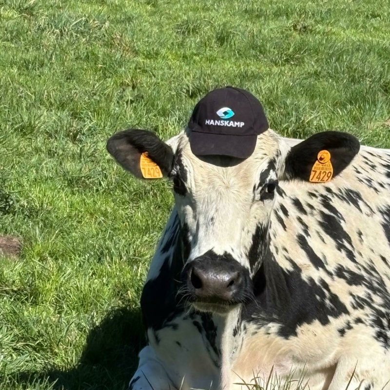 Whats App Image 2026 03 18 at 11 56 38