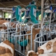 Cowtoilet subsidie noord brabant