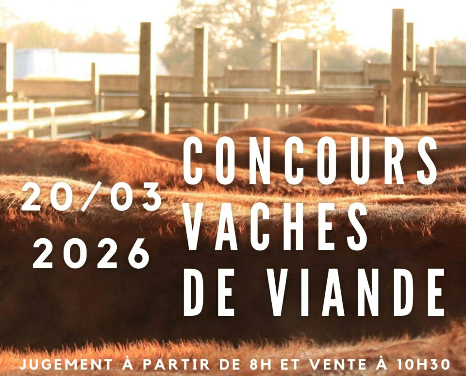 639603731 1326602682607903 3721744458470448396 n 639603731 1326602682607903 3721744458470448396 n