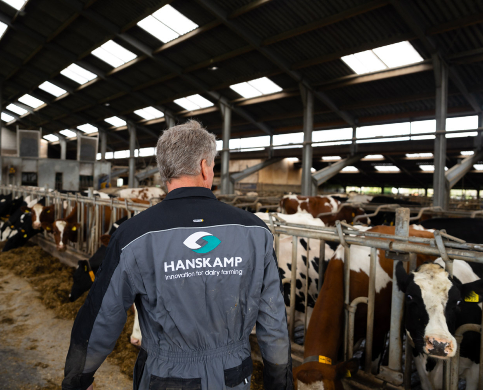 HK l Port DSC04918 LQ