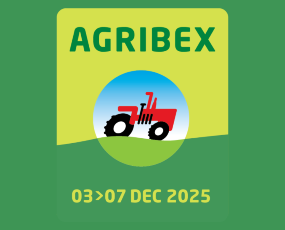 Orange White Modern Strategic Vision 2025 A4 Landscape Document